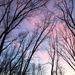 Meet your Posher, Jillian